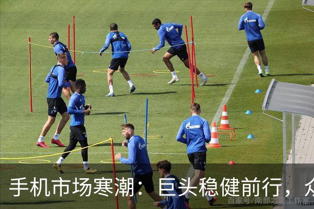 手机市场寒潮：巨头稳健前行，众多国产品牌相继遇困